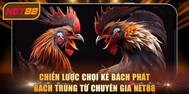 Chiến lược chọi kê bách phát bách trúng từ chuyên gia NET88