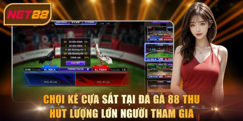 Chọi kê cựa sắt tại đá gà 88 thu hút lượng lớn người tham gia