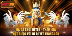Đá gà chọi