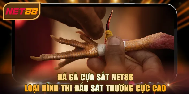 Đá gà cựa sắt