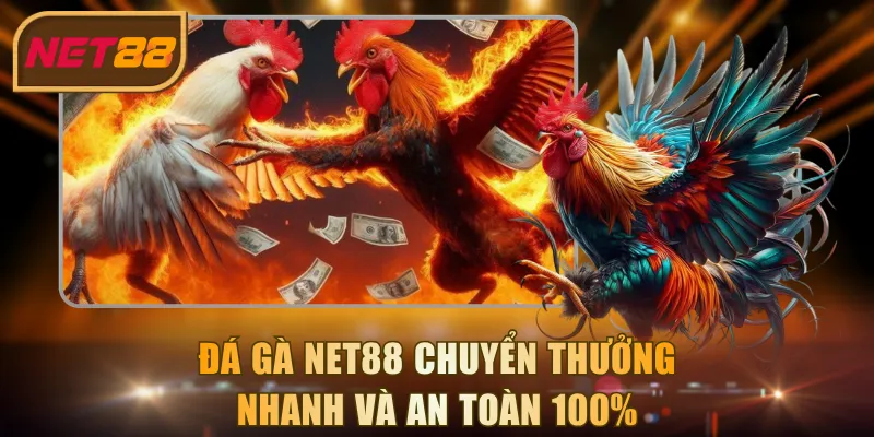 Đá gà NET88 chuyển thưởng nhanh và an toàn 100%