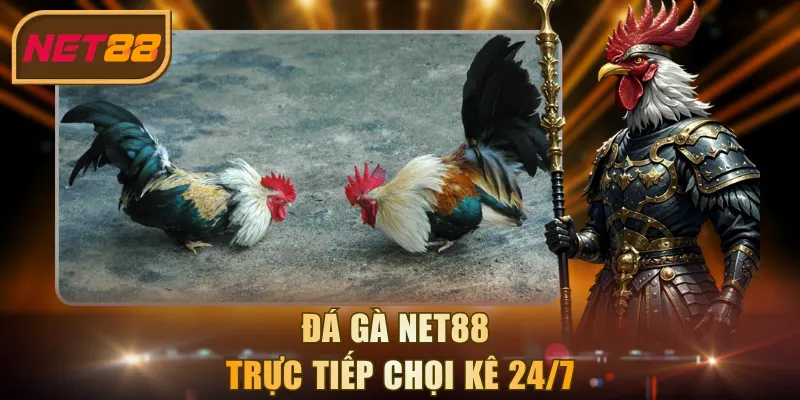 Đá gà NET88 trực tiếp chọi kê 24/7