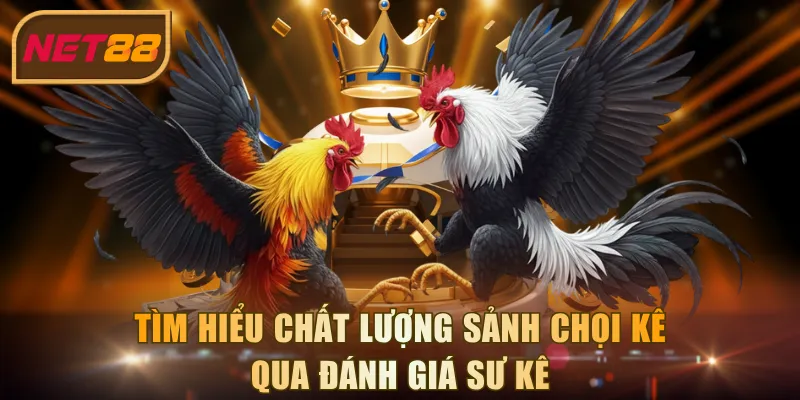 Tìm hiểu chất lượng sảnh chọi kê qua đánh giá sư kê