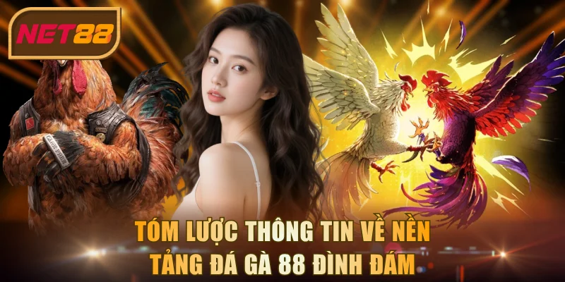 Tóm lược thông tin về nền tảng đá gà 88 đình đám